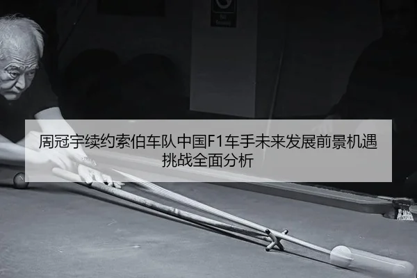 zhou-guan-yu-xu-yue-suo-bo-che-dui-zhong-guo-che-shou-wei-lai-fa-zhan-qian-jing-ji-yu-tiao-zhan-quan-mian-fen-xi-3-881.jpg