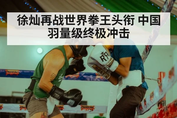 徐灿再战世界拳王头衔 中国羽量级终极冲击