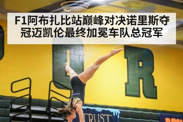 F1阿布扎比站巅峰对决诺里斯夺冠迈凯伦最终加冕车队总冠军